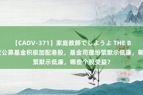 【CADV-371】家庭教師でしようよ THE BEST 2 二季度公募基金积极加配港股，基金司理纷繁默示低廉，哪些个股受益？