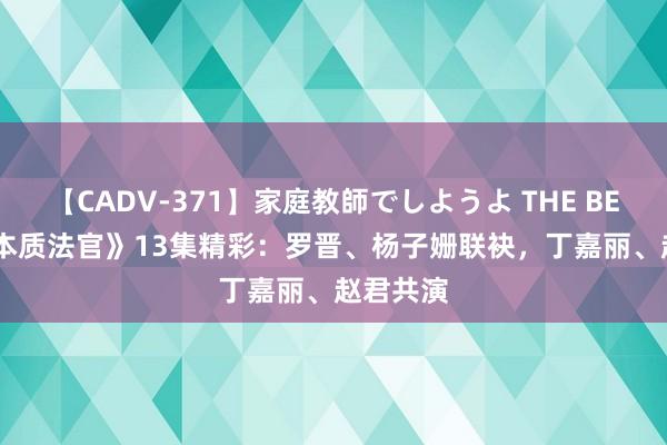 【CADV-371】家庭教師でしようよ THE BEST 2 《本质法官》13集精彩：罗晋、杨子姗联袂，丁嘉丽、赵君共演