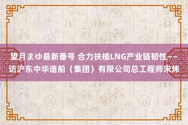 望月まゆ最新番号 合力扶植LNG产业链韧性——访沪东中华造船（集团）有限公司总工程师宋炜