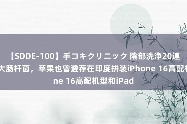 【SDDE-100】手コキクリニック 陰部洗浄20連発SP 纵有大肠杆菌，苹果也曾遴荐在印度拼装iPhone 16高配机型和iPad