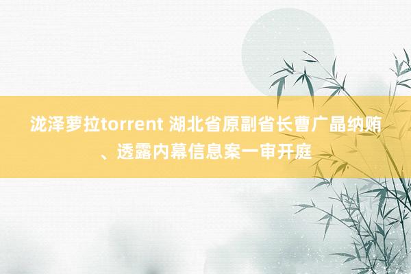 泷泽萝拉torrent 湖北省原副省长曹广晶纳贿、透露内幕信息案一审开庭