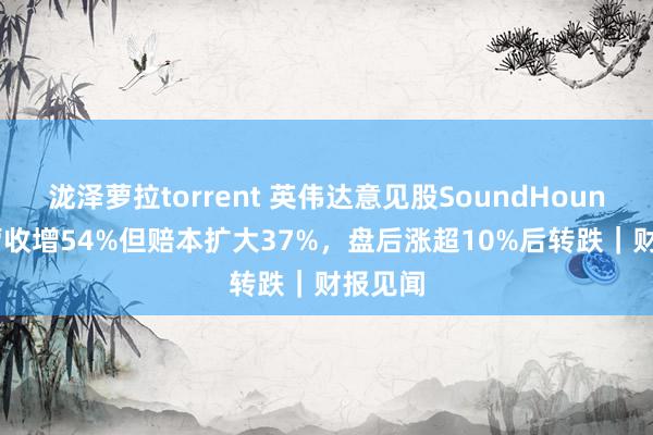 泷泽萝拉torrent 英伟达意见股SoundHound Q2营收增54%但赔本扩大37%，盘后涨超10%后转跌｜财报见闻