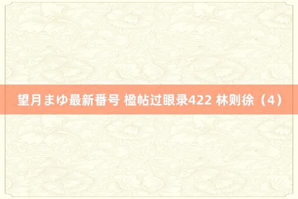 望月まゆ最新番号 楹帖过眼录422 林则徐（4）