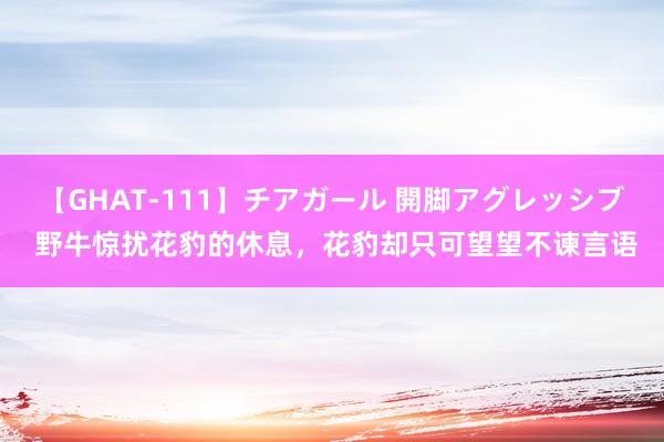 【GHAT-111】チアガール 開脚アグレッシブ 野牛惊扰花豹的休息，花豹却只可望望不谏言语