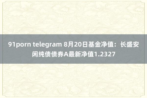 91porn telegram 8月20日基金净值：长盛安闲纯债债券A最新净值1.2327