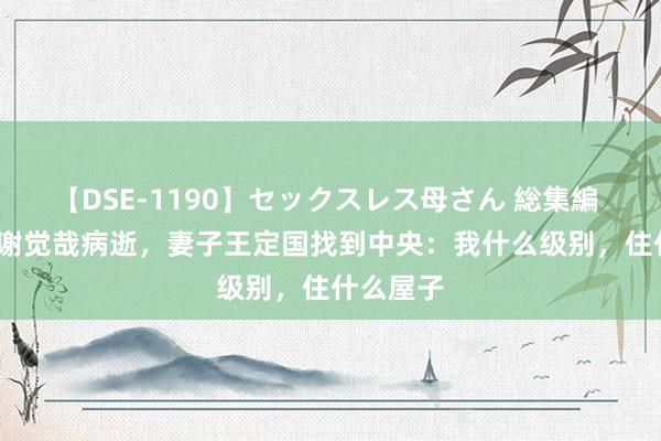 【DSE-1190】セックスレス母さん 総集編 1971年谢觉哉病逝，妻子王定国找到中央：我什么级别，住什么屋子