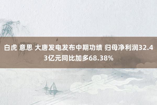 白虎 意思 大唐发电发布中期功绩 归母净利润32.43亿元同比加多68.38%