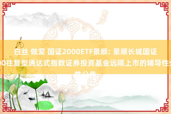 白丝 做爱 国证2000ETF景顺: 景顺长城国证2000往复型通达式指数证券投资基金远隔上市的辅导性公告