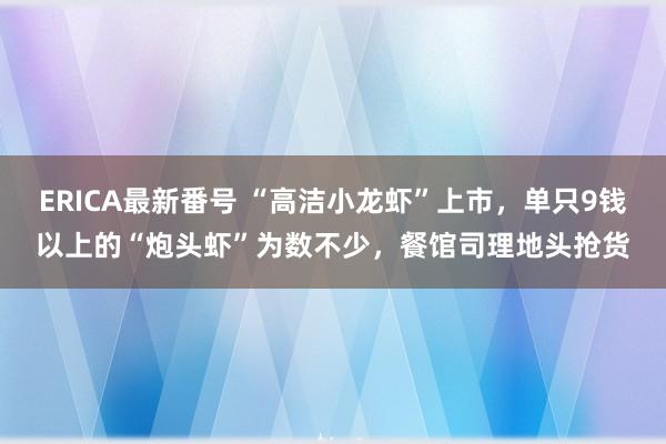 ERICA最新番号 “高洁小龙虾”上市，单只9钱以上的“炮头虾”为数不少，餐馆司理地头抢货