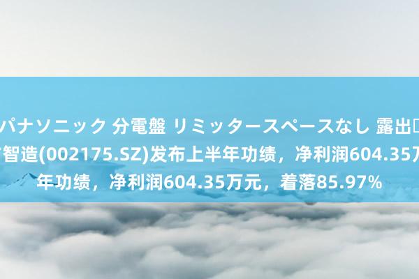 パナソニック 分電盤 リミッタースペースなし 露出・半埋込両用形 东方智造(002175.SZ)发布上半年功绩，净利润604.35万元，着落85.97%