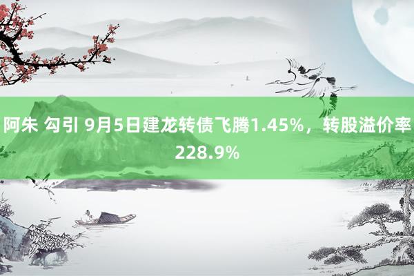 阿朱 勾引 9月5日建龙转债飞腾1.45%，转股溢价率228.9%