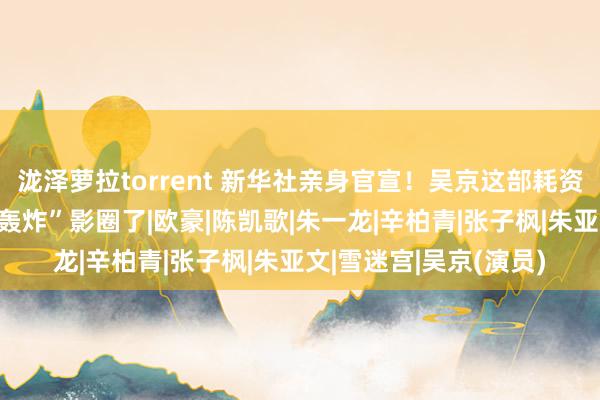 泷泽萝拉torrent 新华社亲身官宣！吴京这部耗资30亿的干戈片，要“轰炸”影圈了|欧豪|陈凯歌|朱一龙|辛柏青|张子枫|朱亚文|雪迷宫|吴京(演员)