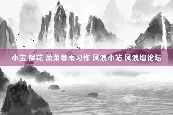 小宝 探花 萧萧暮雨习作 风浪小站 风浪墙论坛