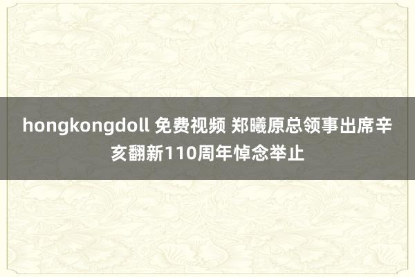 hongkongdoll 免费视频 郑曦原总领事出席辛亥翻新110周年悼念举止